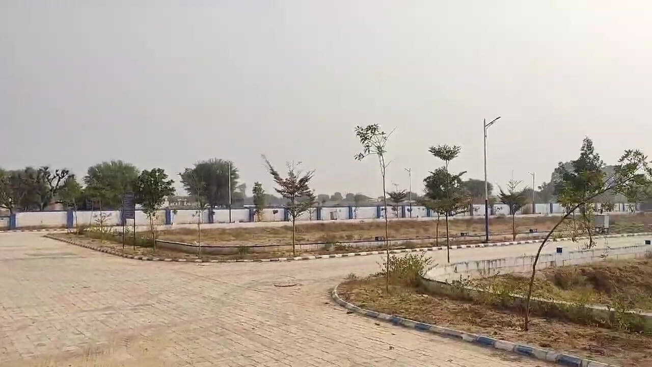 Internal roads and boundary wall