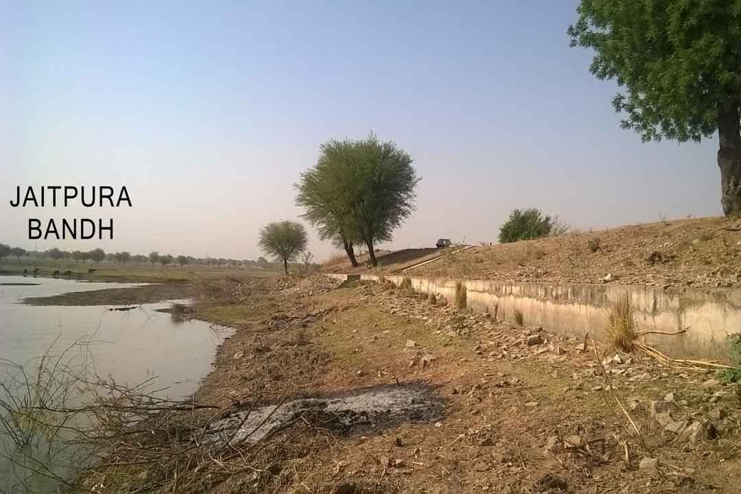 Jaitpura Dam, Phulera — nearby landmark. Photo: Wikimedia Commons, CC BY-SA 4.0